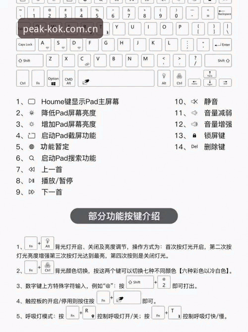 kok体育登录入口使用技巧 资深用户分享:kok体育登录入口使用技巧,从菜鸟到达人的进阶之路
